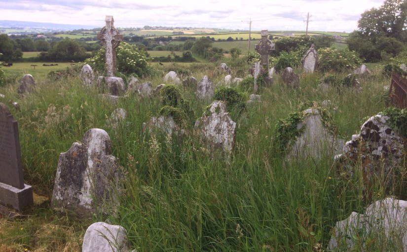 Of Death &&nbsp;Life