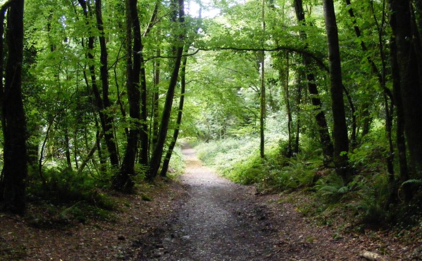 Trails Are For Following, Not Just&nbsp;Blazing