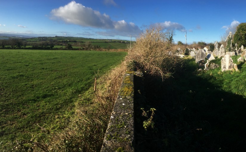 My Favourite Graveyard