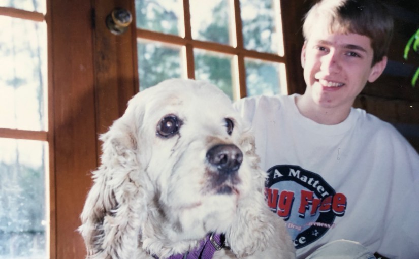 The Dog Knew&nbsp;Better