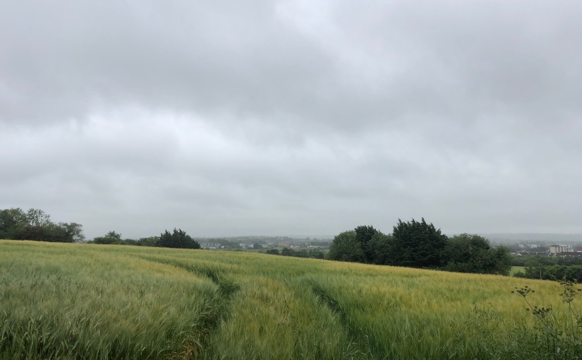 Well Done > Well&nbsp;Said