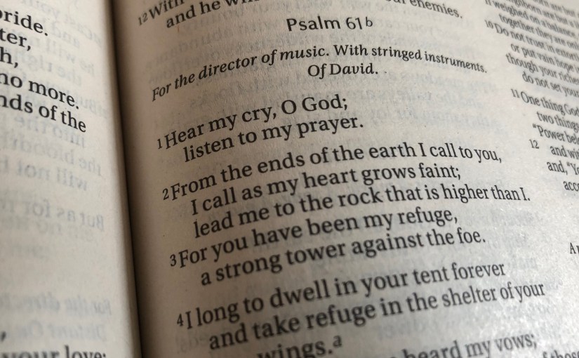 Anger, Panic, And The&nbsp;Psalms