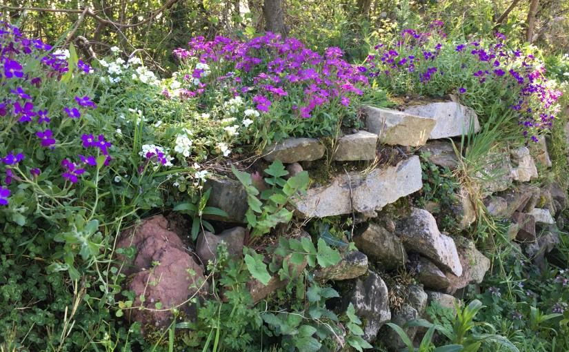 If You’re Easy To Please, You’ll Be Pleased More&nbsp;Often