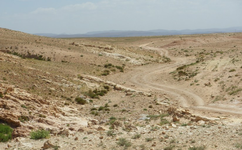 The Work Of The&nbsp;Wilderness