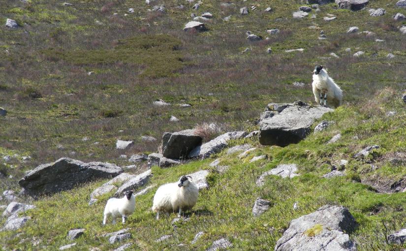 St. Patrick’s Lost&nbsp;Years