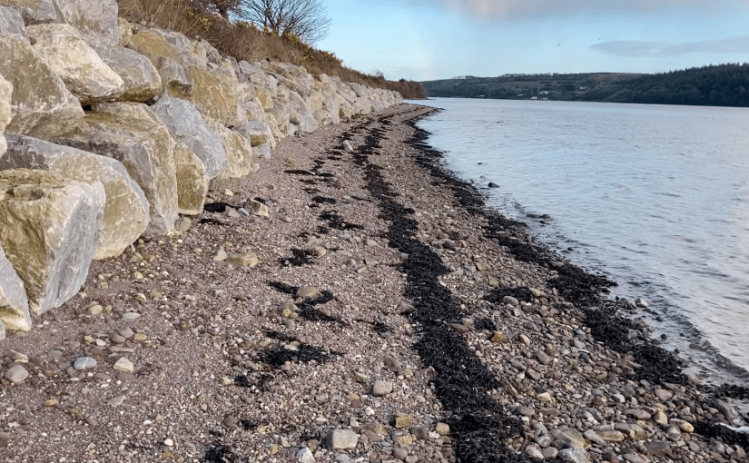 truth is never lost // a spoken word&nbsp;poem