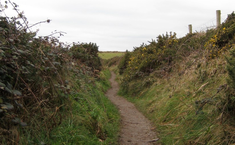 You Can’t Stand&nbsp;Still