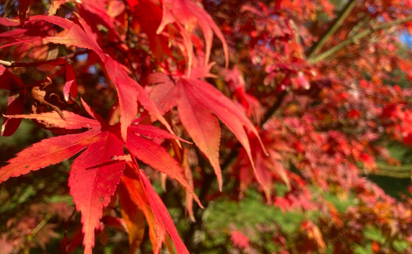 You Can’t Explain The World Without&nbsp;Poetry