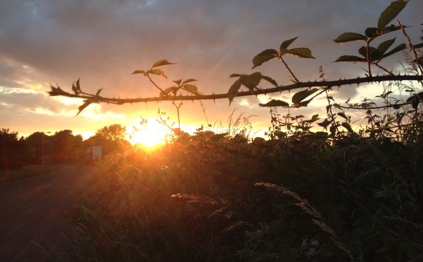 Lift Up Your&nbsp;Head