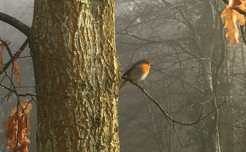 The Day Of Small&nbsp;Things