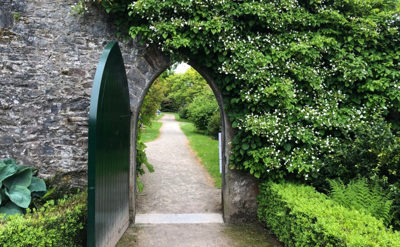 Two Powerful Skills You Already&nbsp;Have