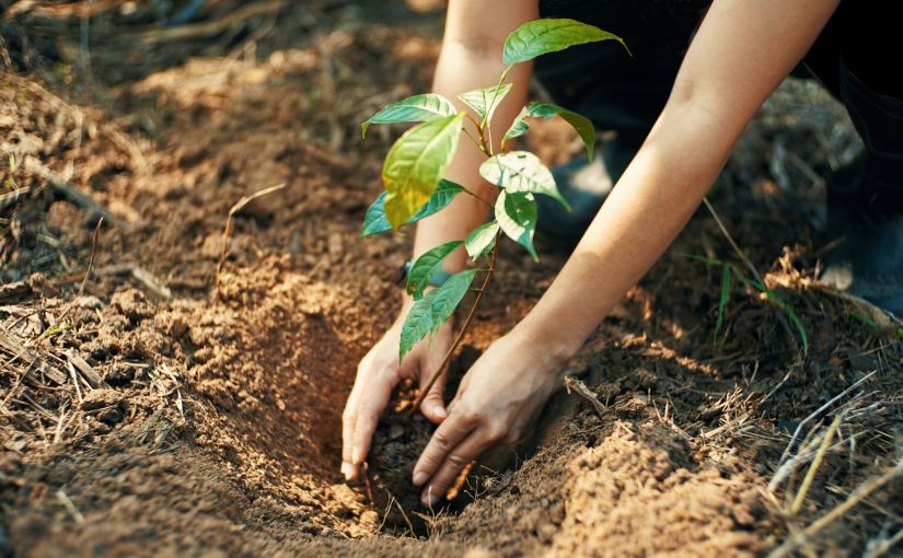 The Same Old&nbsp;Faces