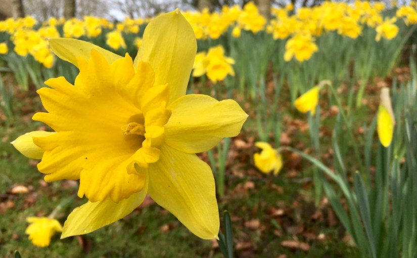 Everything You Touch