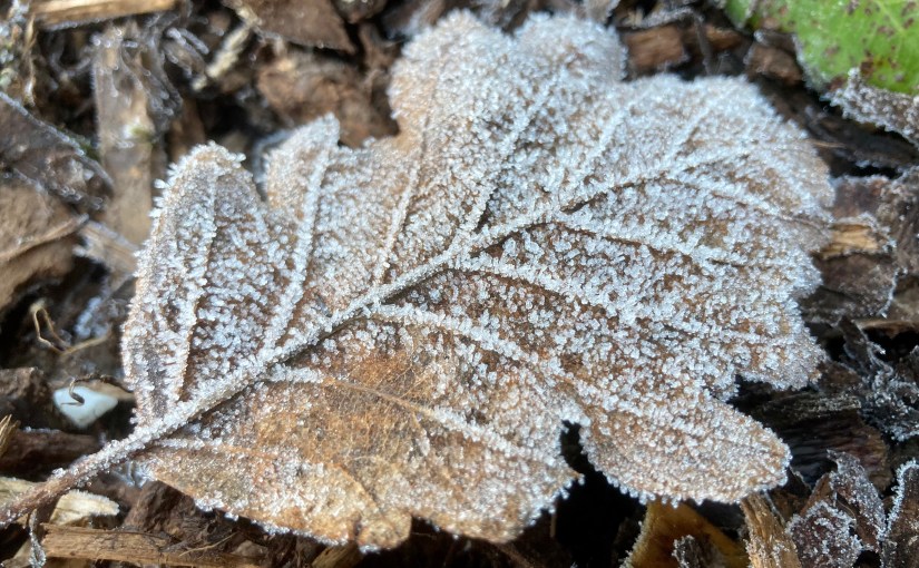 Another Chance (a&nbsp;poem)