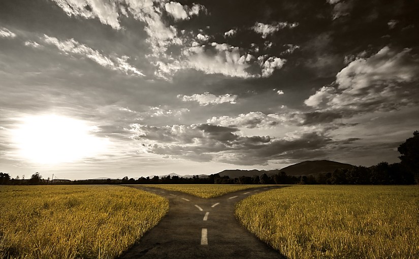 The Challenge Of Choosing Between Bitter And&nbsp;Better