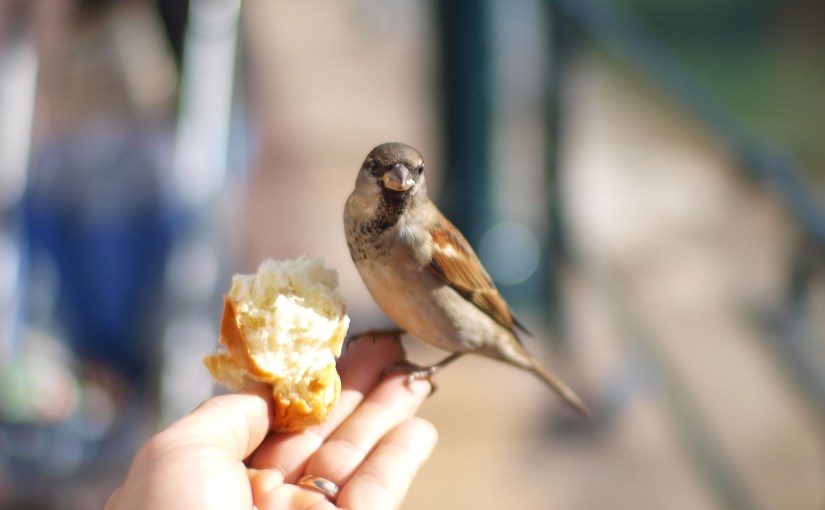 A Collection Of Incredible&nbsp;Creations