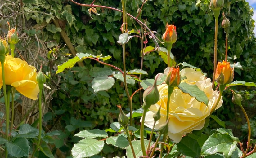 One Day Leads To&nbsp;Another