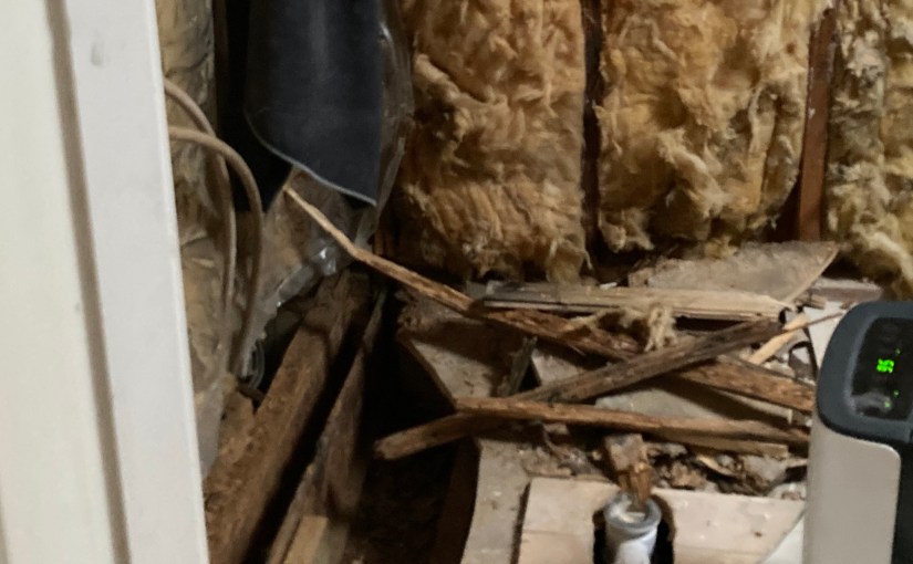 The Leak (a&nbsp;poem)