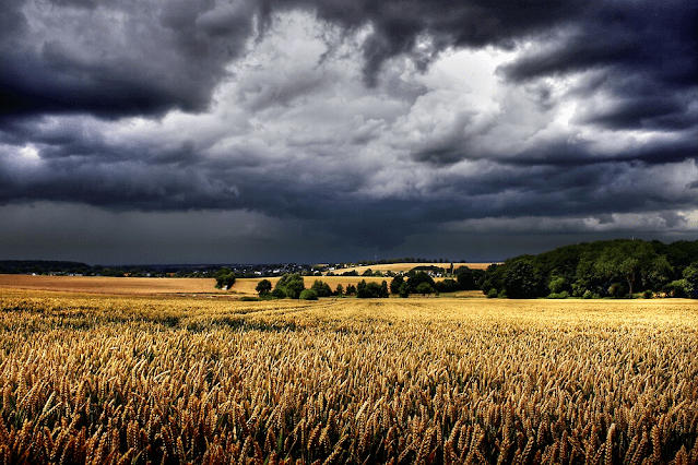 How To Avoid A Midlife Crisis (an open letter to twenty-somethings)