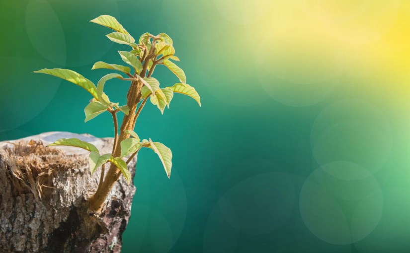 Realism And Resurrection