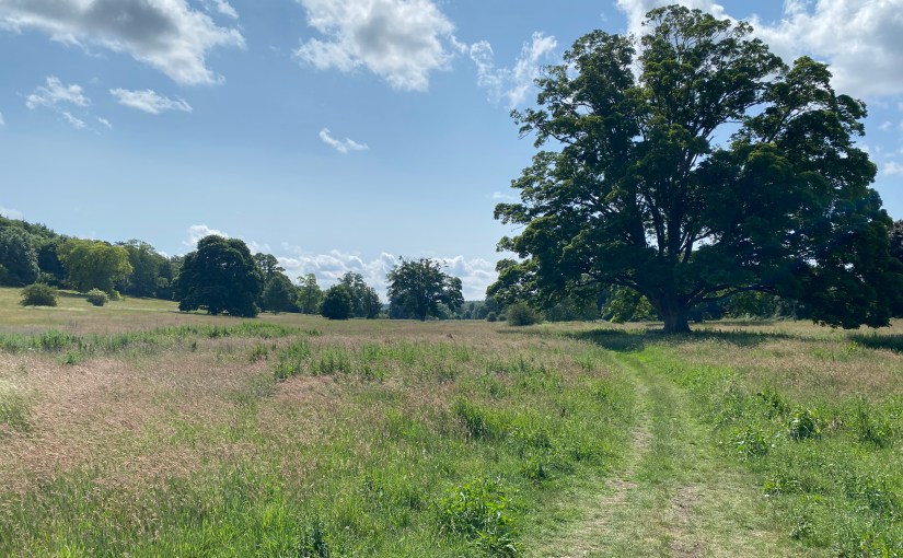 Appreciation Grows With&nbsp;Knowledge