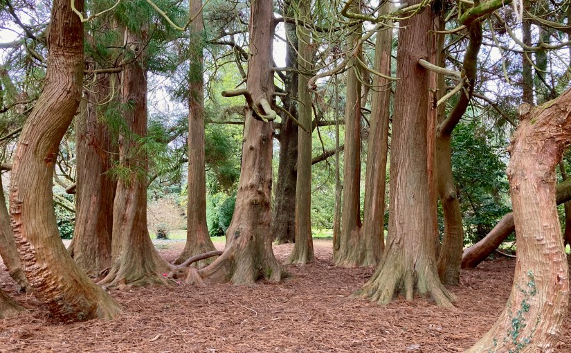 Scattered Thoughts (a&nbsp;poem)