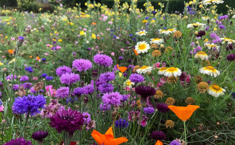 The Eyes Of The Old And The&nbsp;Young