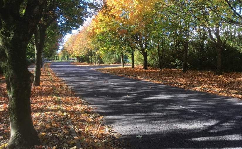 Dappled Glory (a&nbsp;poem)